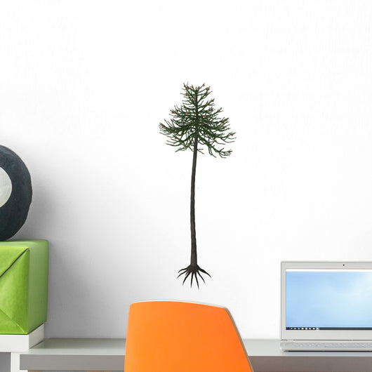 Araucaria Conifer Tree White Wall Decal