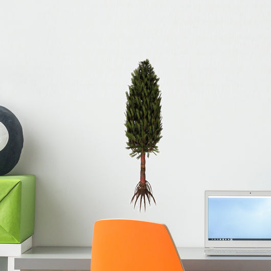 Asterophyllites Plant Carboniferous Period Wall Decal