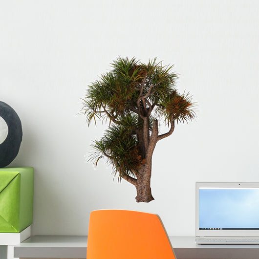 Cordyline Australis Known as Wall Decal