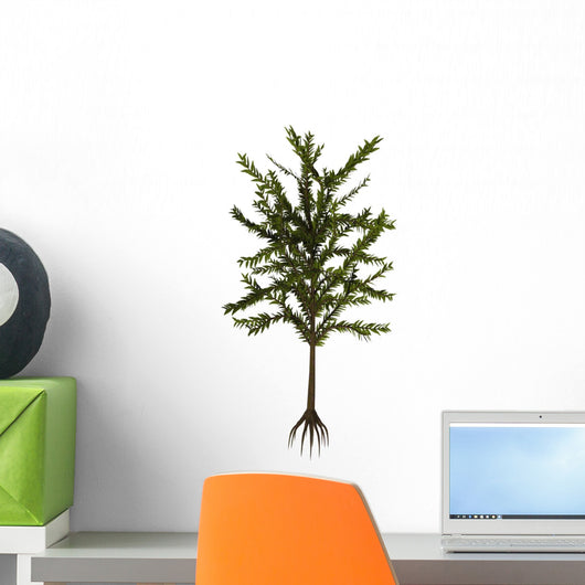 Dicroidium Plant White Wall Decal