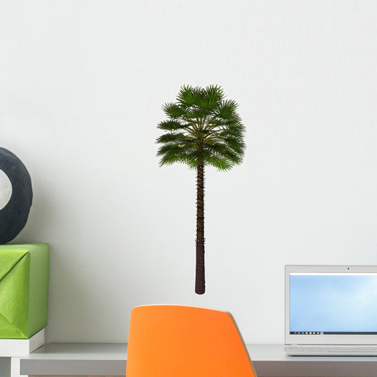Chamaerops Humilis White Wall Decal