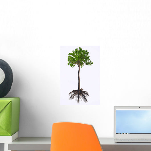 Extinct Glossopteris Plant White Wall Decal