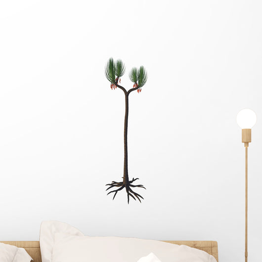 Sigillaria Tree from Late Wall Decal