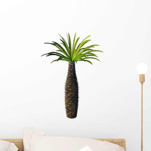 African Bottle Tree Pachypodium Wall Decal