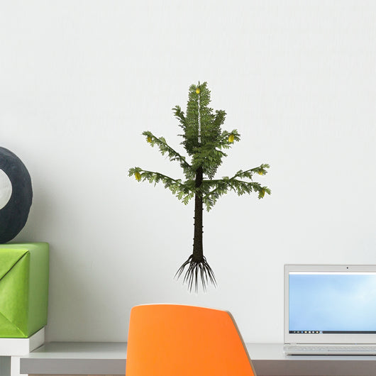 Alethopteris Prehistoric Plant from Wall Decal