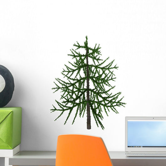 Araucaria Evergreen Tree from Wall Decal