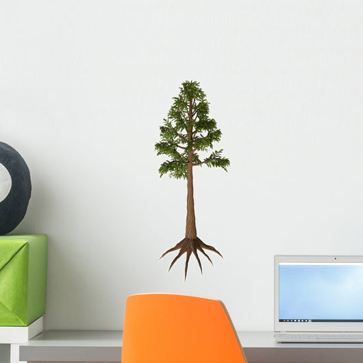 Archaeopteris Tree-like Plant from Wall Decal