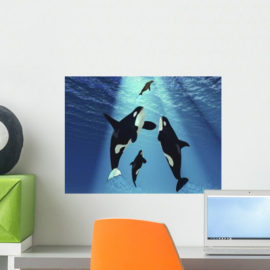 Seal Swims to Surface Wall Decal