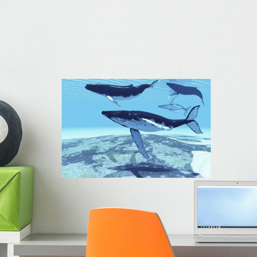 Humpback Whales Swim Together Wall Decal
