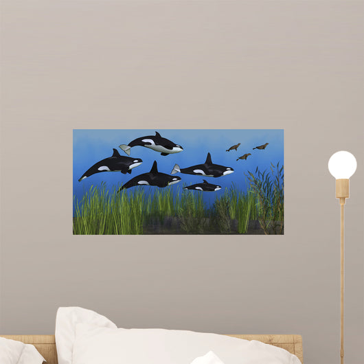 Several Seals Try to Wall Decal