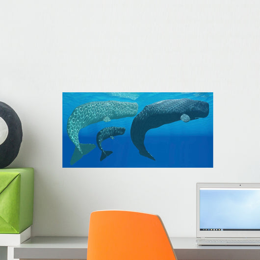 Mother Sperm Whale with Wall Decal