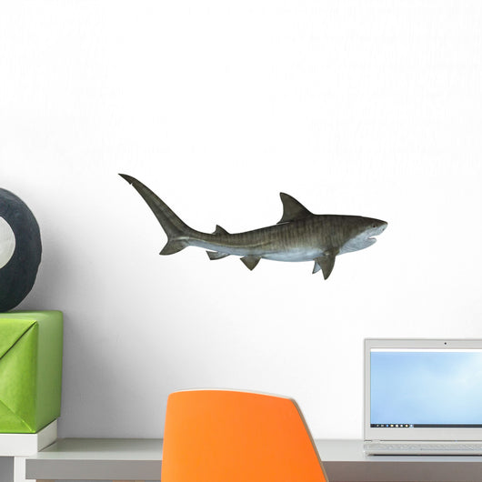 Tiger Shark Illustration Wall Decal