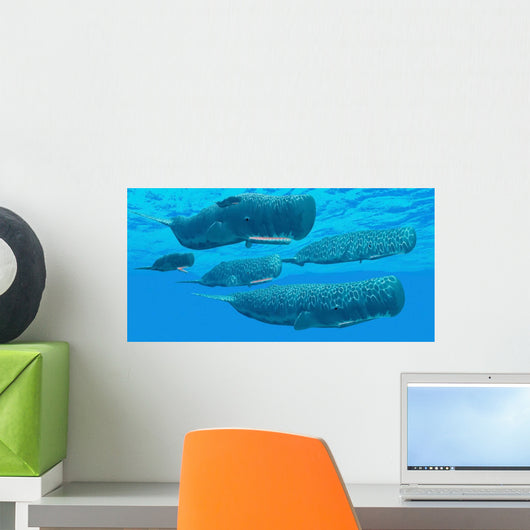 Pod Sperm Whales Swimming Wall Decal