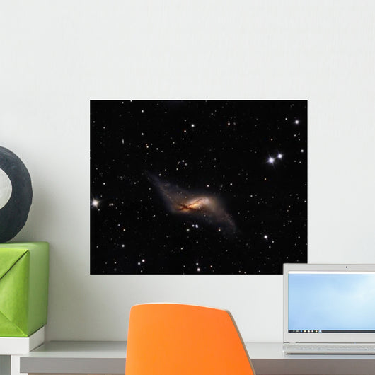 Ngc660 Distorted Polar Ring Wall Decal