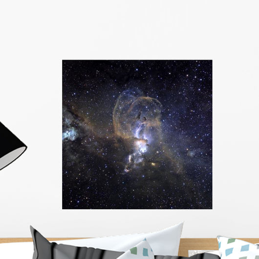 Loops Ngc 3576 Wall Decal