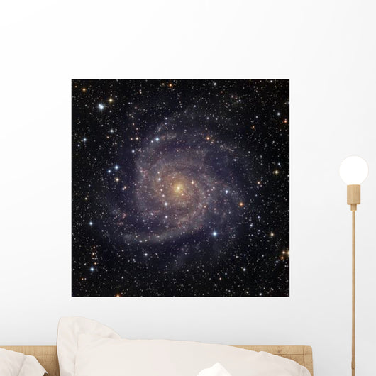 Ic 342 Intermediate Spiral Wall Decal