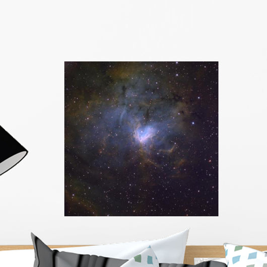 Ngc 1491 Emission Nebula Wall Decal