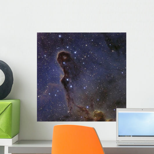 Elephant's Trunk Nebula Star Wall Decal