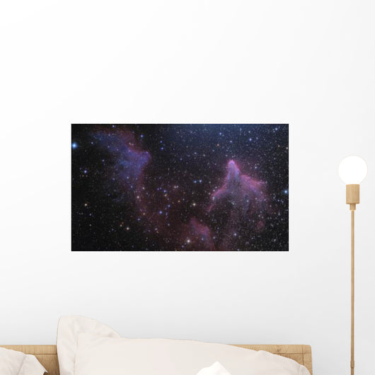 Ic 59 and Ic Wall Decal