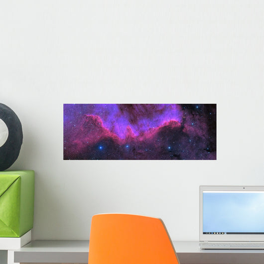 Cygnus Wall Ngc 7000 Wall Decal