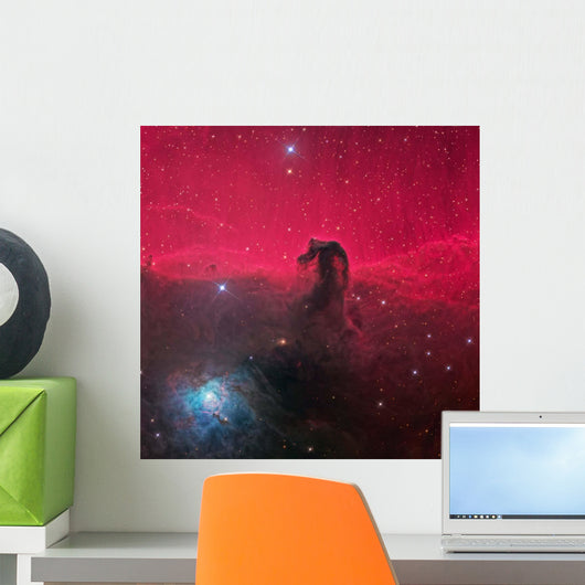 Horsehead Nebula Wall Decal