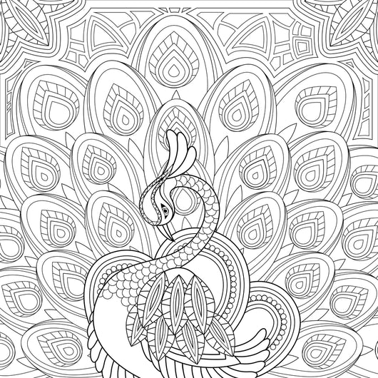 Peacock with Feathers Coloring Page Decal