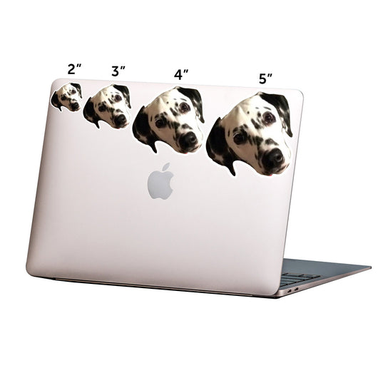 Cat Face Stickers
