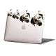 Cat Face Stickers