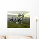 Three Styracosaurus Dinosaurs Wall Decal