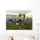 Three Styracosaurus Dinosaurs Wall Decal