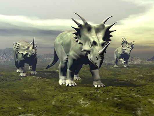 Three Styracosaurus Dinosaurs Wall Decal
