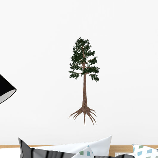 Archaeopteris Prehistoric Tree from Wall Decal