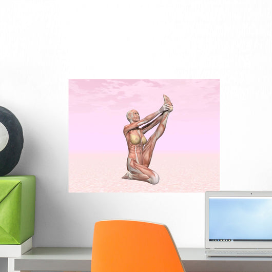 Female Musculature Performing Heron Wall Decal
