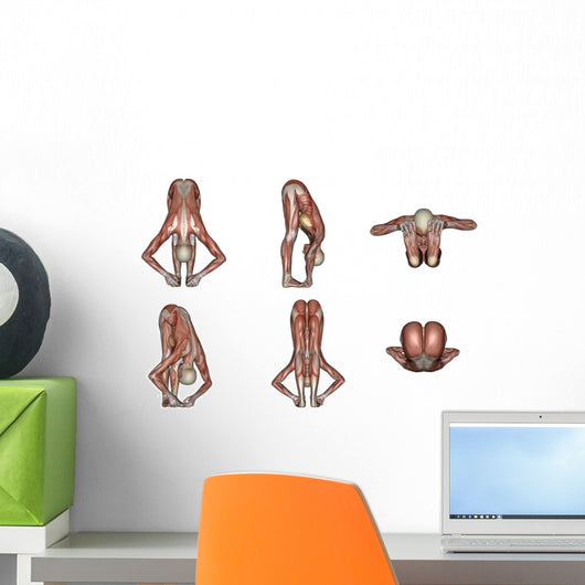 Six Different Views Big Wall Decal