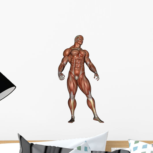 Muscular Man Standing Wall Decal