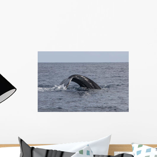 Humpback Whale Dives Caribbean Wall Decal