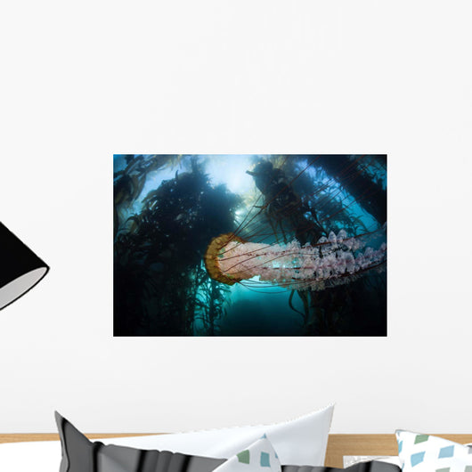Large Lion's Mane Jellyfish Wall Decal