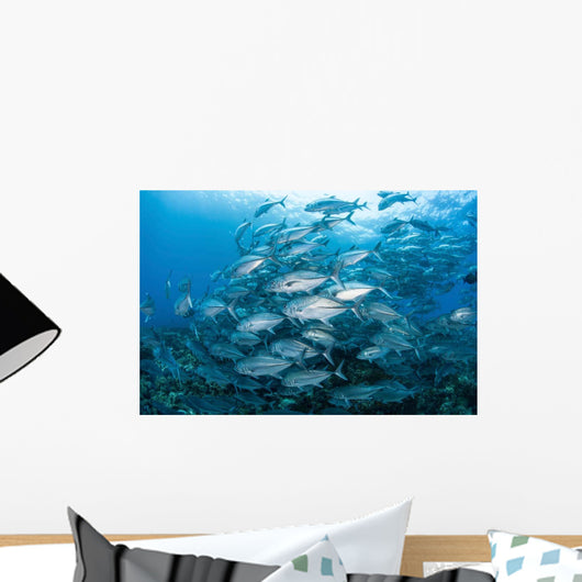 School Bigeye Jacks Swimming Wall Decal Design 3
