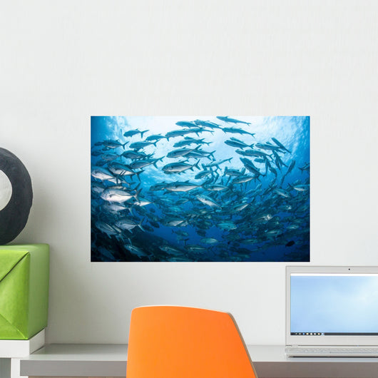 School Bigeye Jacks Swimming Wall Decal Design 2