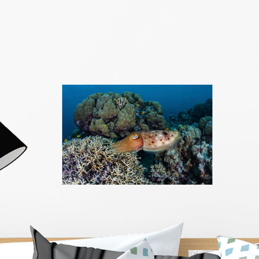 Cuttlefish Lays Eggs Fire Wall Decal