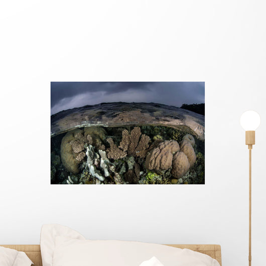 Colorful Coral Reef Grows Wall Decal Design 6