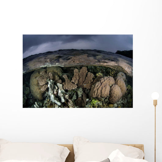 Colorful Coral Reef Grows Wall Decal Design 6
