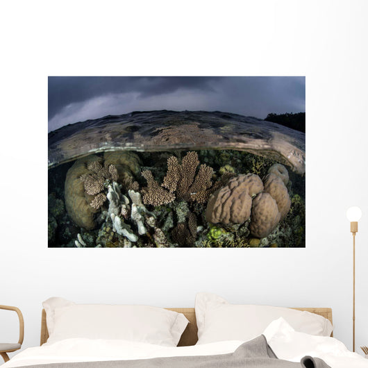 Colorful Coral Reef Grows Wall Decal Design 6