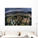 Colorful Coral Reef Grows Wall Decal Design 6