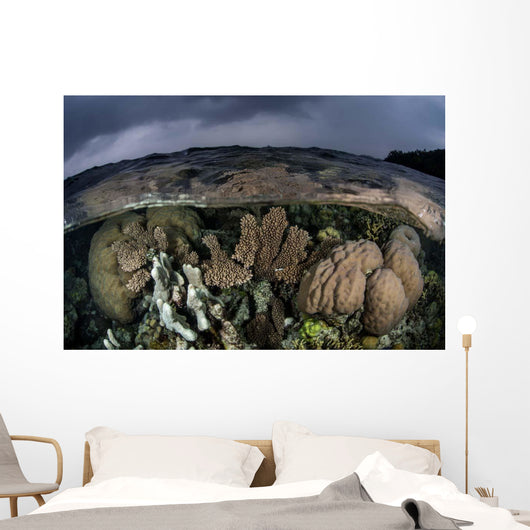 Colorful Coral Reef Grows Wall Decal Design 6