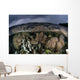 Colorful Coral Reef Grows Wall Decal Design 6