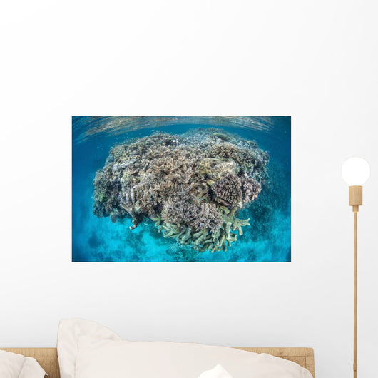 Diverse Coral Reef Grows Wall Decal Design 4