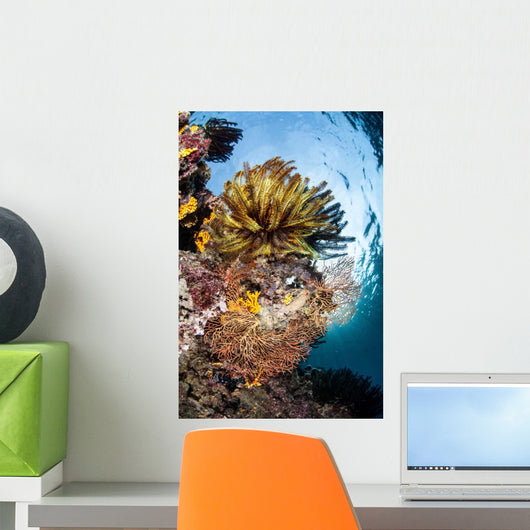 Colorful Coral Reef Grows Wall Decal Design 2