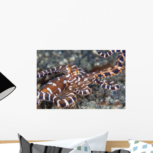 Wonderpus Octopus Crawls across Wall Decal Design 2