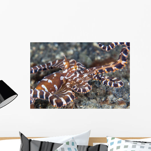 Wonderpus Octopus Crawls across Wall Decal Design 2